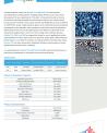 Norzon NV 1620 and 1622 - Technical Datasheet