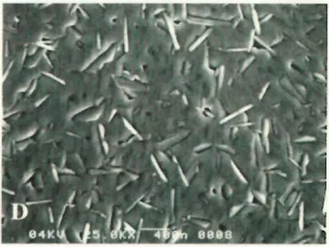 sol gel doped with rare earth oxide