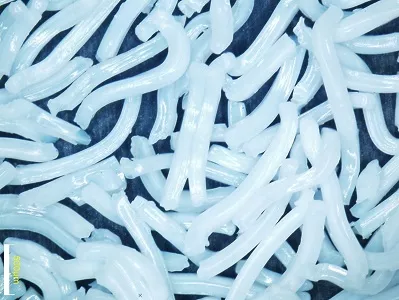 tgi